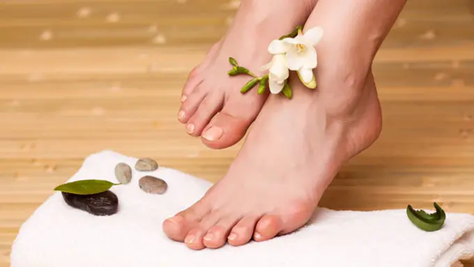 (c) shutterstock.com