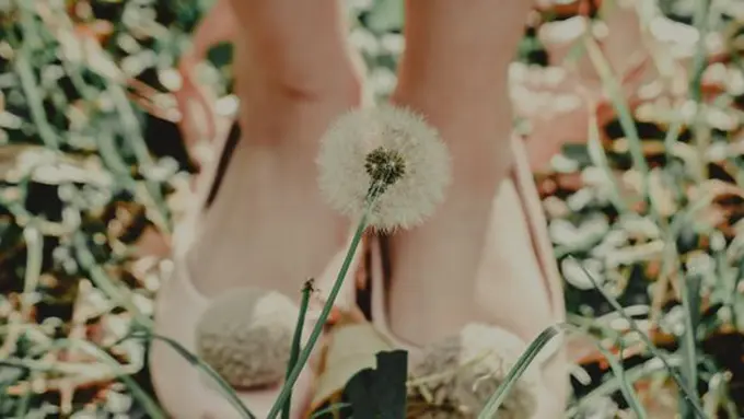 Ilustrasi./Copyright pexels.com