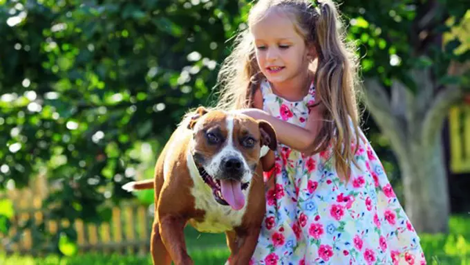 foto: copyright mirror.co.uk