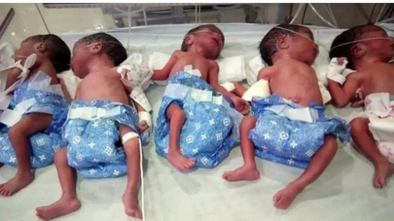 Bayi kembar lima