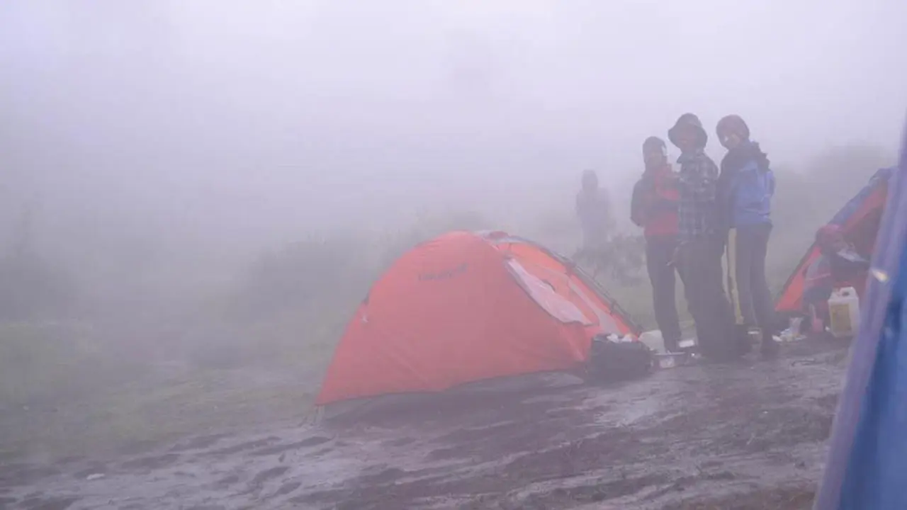 Suasana camp Gunung Prau di pagi hari. (Foto: Liputan6.com/Muhamad Ridlo).