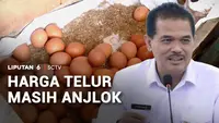 Harga Telur Anjlok, Kementan Surati BGN