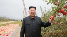 Pemimpin Korea Utara Kim Jong Un berpose di kebun apel saat panen di Pyongyang, Minggu (18/9). Selain untuk melihat hasil panen, kedatangan Kim Jong Un juga untuk memberi bimbingan kepada Kosan Combined Fruit Farm. (REUTERS/KCNA) 