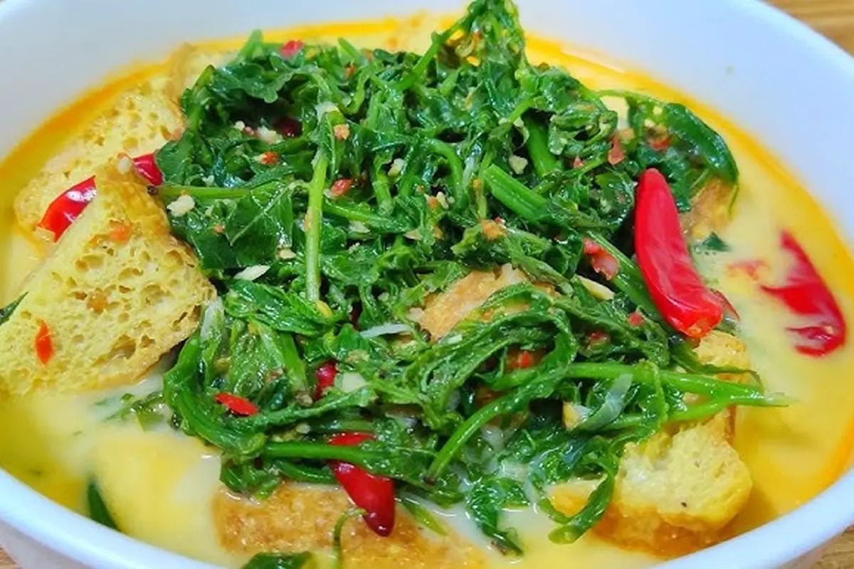 Sayur pakis