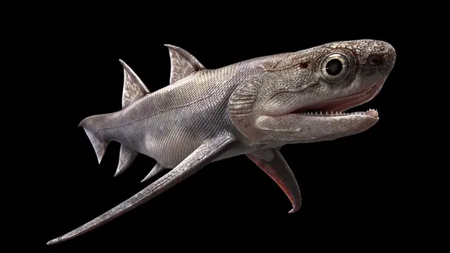 Fosil Ikan dengan Gigi Tertua Ditemukan di China.