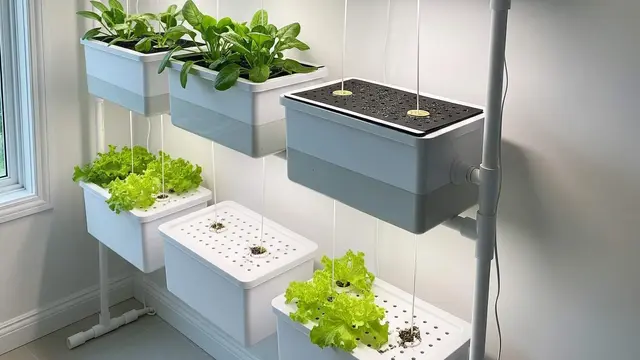 Ide Model Kebun Sayur Mini dengan Planter Box Gantung