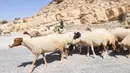 Penggembala bersama sejumlah domba melewati bendungan El-Haouareb yang kekeringan di dekat Kairouan, sekitar 160 km selatan Tunis, Tunisia, 13 Juli 2017. Wilayah ini mengalami kekeringan parah yang disebabkan oleh kemarau berkepanjangan (FETHI BELAID/AFP)