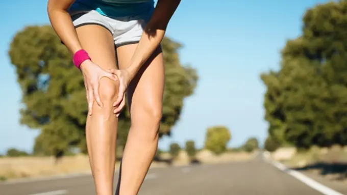 Copyright by Shutterstock.com