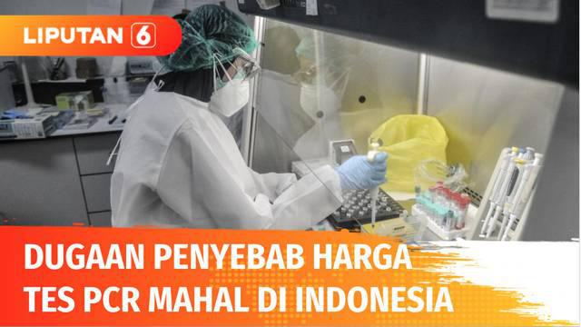 Rapat dengar pendapat membahas harga PCR antara PT Biofarma dengan Komisi VI DPR RI mendesak agar Komisi Pengawas Persaingan Usaha (KPPU) untuk mengusut mahalnya harga PCR. Diduga adanya praktek kartel yang menyebabkan harga PCR mahal dari harga poko...