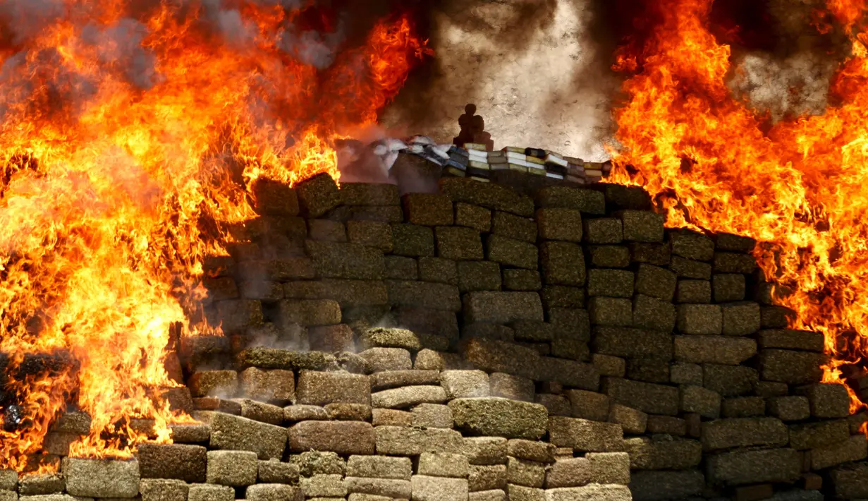 Sejumlah ganja dan obat terlarang saat dibakar di kamp Angkatan Daratan, Tijuana, Meksiko, (18/8/2015). Sebanyak 138,7 ton obat terlarang disita oleh pemerintahan Meksiko. (REUTERS/Jorge Duenes)