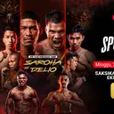 HW Sports Night Vol 10: Duel Sengit Indonesia vs Timor Leste Hanya di Vidio