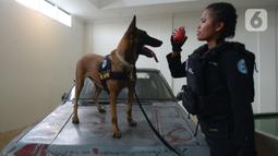 Pelatih K9 wanita Widiya Hutahean melatih seekor anjing di Markas Komando K9 BNN, Selasa (8/3/2022). Dalam rangka Hari Perempuan Sedunia, BNN terus meningkatkan kemampuan para pelatih khususnya perempuan dan kemampuan hewan. (merdeka.com/Imam Buhori)