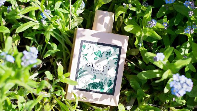 Sensasi Aroma Segar dan Lembut dari Wewangian Terbaru Gucci