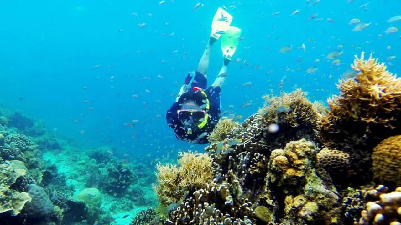 Pulau Samalona, Sulawesi