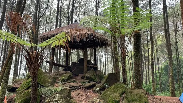 Gunung Puthuk Siwur Mojokerto Wisata Trekking Murah Tiga Jam Sampai Puncak