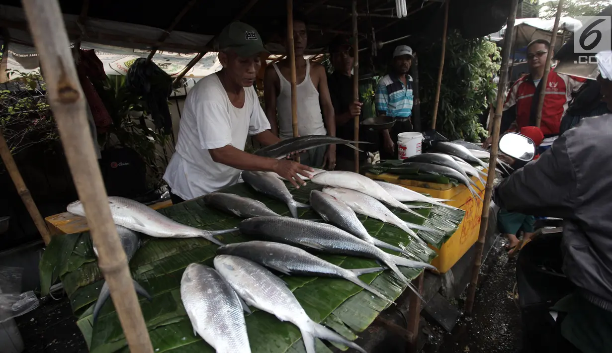 Pedagang menata ikan bandeng dagangnnya di kawasan Rawa Belong, Jakarta, Rabu (14/2). Harga bandeng berukuran dua hingga tiga kilogram per ekor sekitar Rp 70 ribu. (Liputan6.com/Arya Manggala)