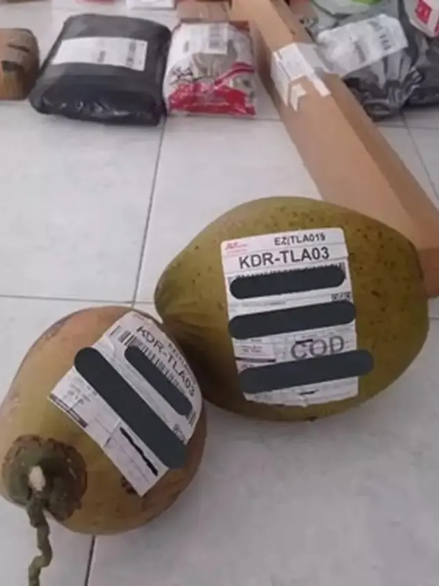 6 Paket Nyeleneh yang Bikin Kurir Senyum Lebar, Enggak Habis Pikir