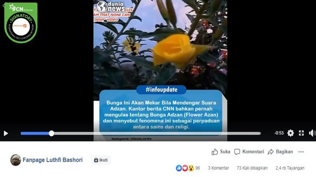 [Cek Fakta] Gambar Tangkapan Layar Video Bunga Oenothera