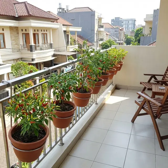 Desain Balkon Rumah yang Bisa Jadi Kebun Sayur Mini