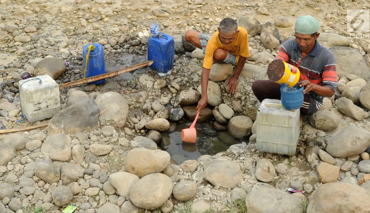Warga mengambil air pada lubang di aliran Sungai Cipamingkis yang kering, Cibarusah, Bekasi, Jabar, Kamis (2/8). Dua bulan tak diguyur hujan menyebabkan warga perbatasan Bogor-Bekasi dilanda kekeringan dan kesulitan air bersih. (Merdeka.com/Arie Basuki)