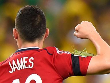 James Rodriguez dihinggapi oleh seekor belalang, The Castelao Stadium, Fortaleza (4/7/2014) (AFP PHOTO/FABRICE COFFRINI)