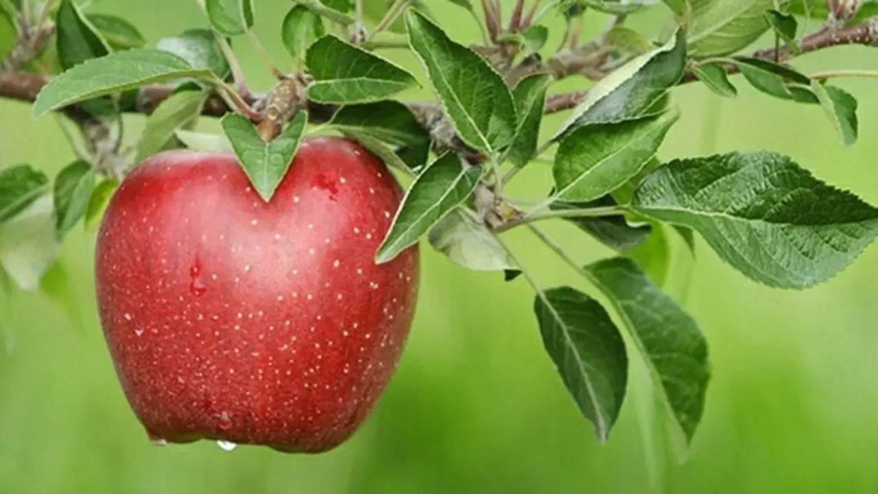 Foto: copyright Vemale.com