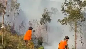 Kebakaran Hutan Lawu Berstatus Tanggap Darurat