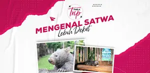 Fimela Trip Taman Safari