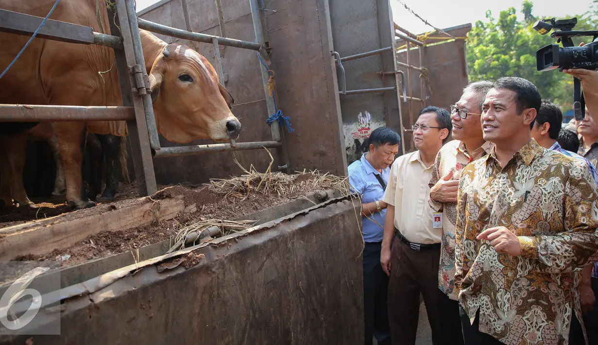 Menteri Pertanian, Amran Sulaiman meninjau pasar murah beras dan sapi di Gudang Bulog, Jakarta, Selasa (22/9/2015). Sebanyak 30 truk beras dan sapi didistribusikan ke sejumlah pasar tradisional DKI. (Liputan6.com/Faizal Fanani)