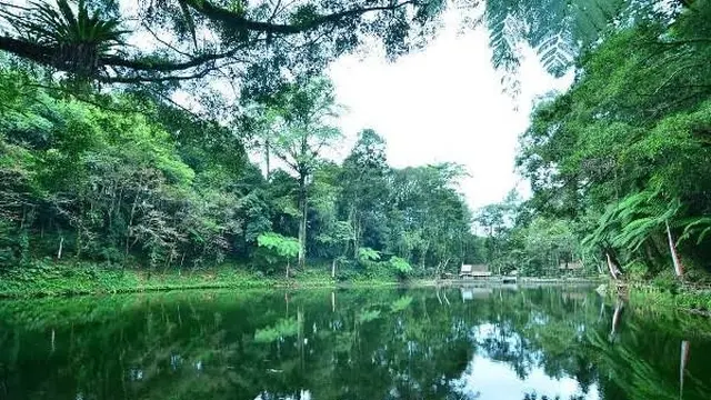 Rowo Bayu tempat bertapanya Prabu Tawangalun yang juga area perang Puputan Bayu. (Istimewa)