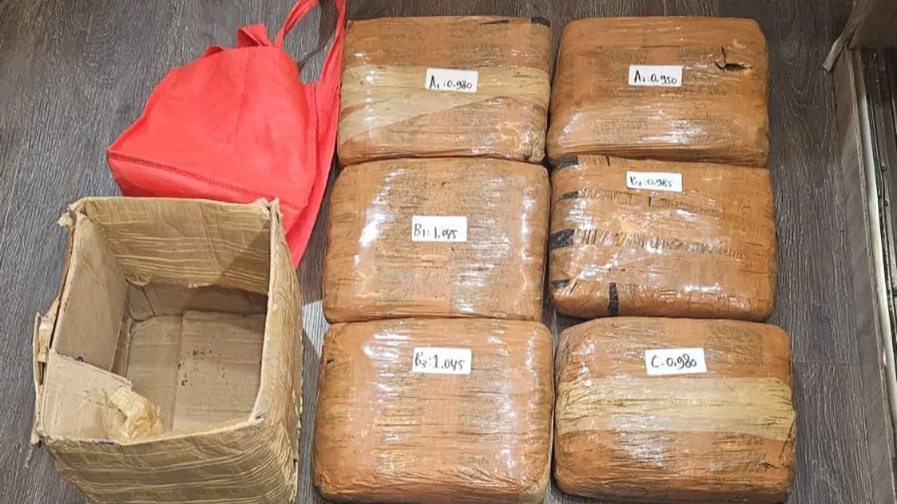 Direktorat Reserse Narkoba Polda Metro Jaya menggagalkan peredaran narkotika jenis ganja seberat 6 kilogram di wilayah Jakarta Timur (Istimewa)