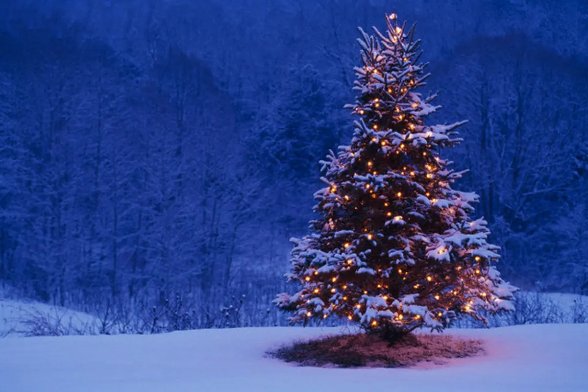 Deretan Keindahan Jelang Natal di Berbagai Belahan Dunia