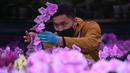 Seorang pedagang menata bunga pada hari pembukaan pasar bunga di Hong Kong (16/1/2023). Tahun Baru Imlek tahun ini jatuh pada tanggal 22 Januari 2023. (AFP/Peter Parks)