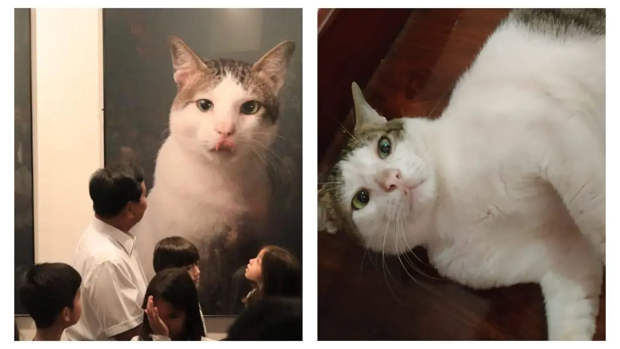 Bobby, Kucing Pak Prabowo