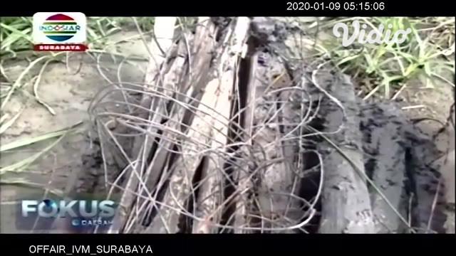 Penggunaan jebakan tikus beraliran listrik di Kabupaten Ngawi, Jawa Timur, kembali menelan korban jiwa. Mayat seorang nenek tanpa identitas ditemukan tewas di tengah sawah di Desa Pangkur, Kabupaten Ngawi, pada Selasa (7/1/2020).