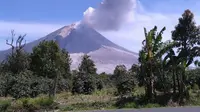 Erupsi Gunung Sinabung (Liputan6.com / Reza Efendi)
