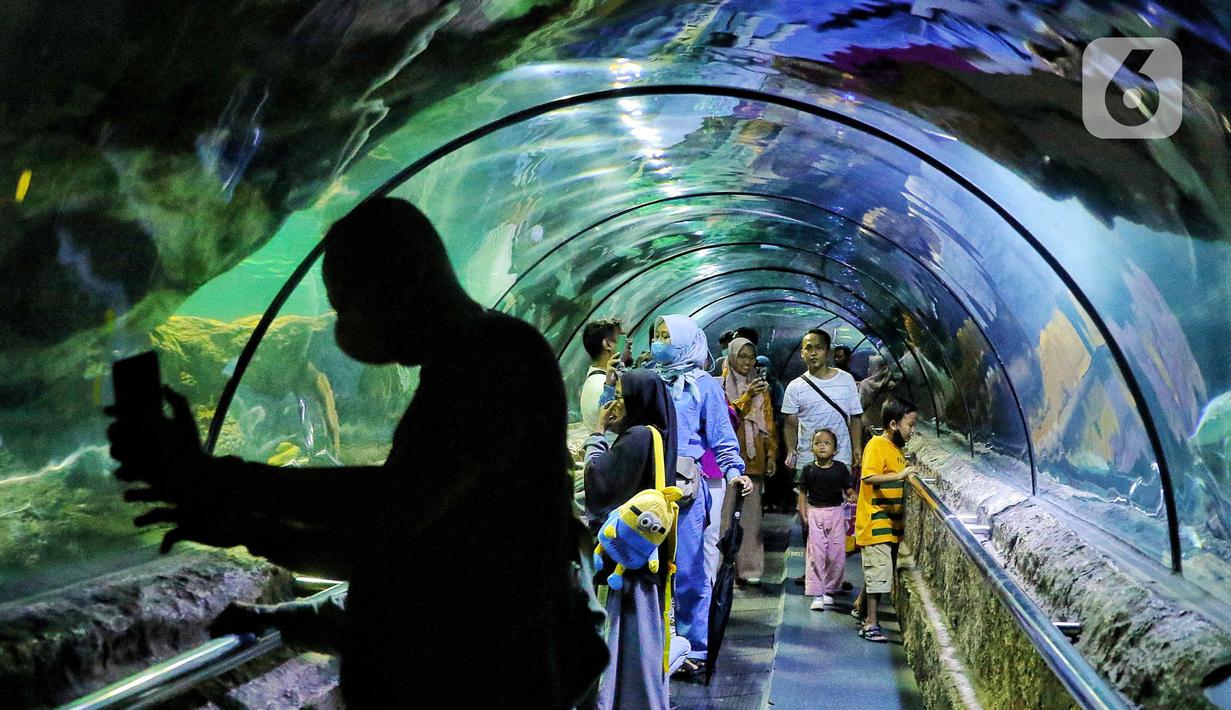 Wisatawan melihat ikan di tempat wisata kawasan Ancol, Jakarta, Minggu (8/1/2023). Saat ini kinerja sektor pariwisata dan ekonomi kreatif pada 2023 dihadapkan dengan target yang cukup tinggi. Kunjungan wisman diharapkan mencapai angka 7,4 juta dan wisatawan nusantara mencapai 1,2-1,4 miliar pergerakan. (Liputan6.com/Angga Yuniar)