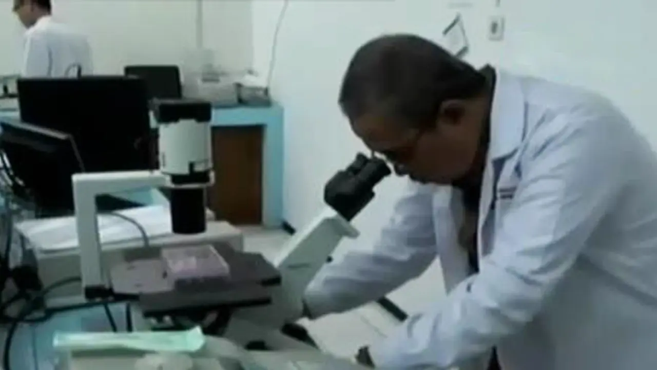 VIDEO: AIRC Sebut Virus Zika Tidak Mematikan