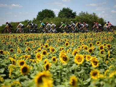 Para pebalap Tour de France saat melintas deretan bunga Matahari pada etape keempat dengan jarak tempuh 207,5 km antara Mondorf-les-Bains dan Vittel, (4/7/2017). (AFP/Lionel Bonaventure)