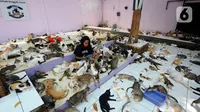 Penjaga kandang merawat kucing lokal terlantar di rumah penampungan kucing dan anjing terlantar Clow di kawasan Parung, Bogor, Jawa Barat, Kamis (22/9/2022). Saat ini, ada sekitar 1.300 kucing lokal yang terlantar di jalanan dipelihara di rumah penampungan ini. (merdeka.com/Arie Basuki)