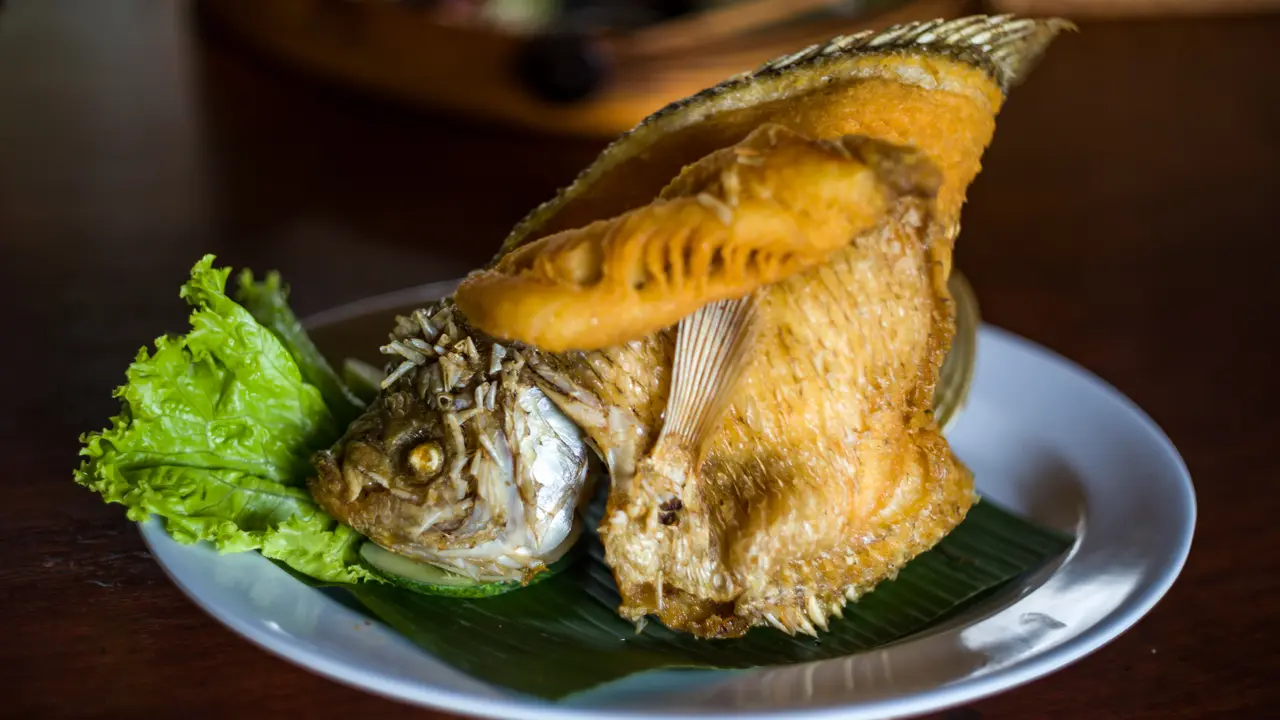 ikan air tawar
