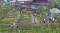 Dasawisma Asoka, satu dari 84 dasawisma di Desa Batuah, Kecamatan Loa Janan, Kabupaten Kutai Kartanegara yang memiliki kebun indah.