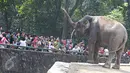 Sejumlah warga melihat gajah Sumatera di Taman Margasatwa Ragunan, Jakarta, Kamis (7/7). Sampai pukul 15.00 WIB, jumlah pengunjung Ragunan pada hari kedua Lebaran ini sekitar 104.000 orang. (Liputan6.com/Immanuel Antonius)