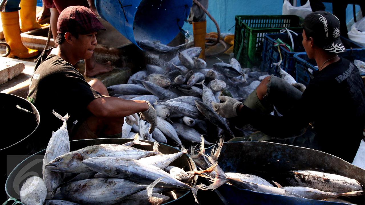 Peraturan Menteri Susi Bikin Nelayan Merugi
