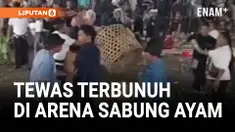 TRAGIS! SALAH PAHAM DI ARENA SABUNG AYAM BERUJUNG PEMBANTAIAN BERDARAH DI BANGLI, BALI