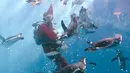 Seorang pria mengenakan kostum Santa Claus berenang sambil memberi makan penguin Magellan di Hakkeijima Sea Paradise di Yokohama (11/11). (AFP Photo/Toshifumi Kitamura)