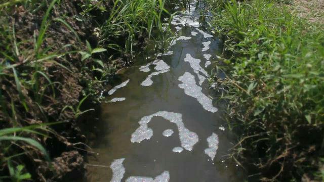 Petani Brebes Pakai Air Comberan Untuk Irigasi Bawang Merah