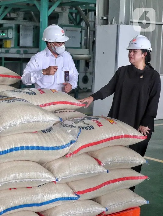 Ketua DPR RI Puan Maharani (kanan) bersama Direktur Utama Perum Badan Urusan Logistik (Bulog) Budi Waseso meninjau proses unit Modern Rice Miling Plant (MRMP) di Karawang, Jawa Barat, Rabu (21/9/2022). Kunjungan kerja tersebut guna membantu petani dalam negeri melalui infrastruktur penggunaan teknologi modern proses pengolahan beras untuk mewujudkan ketahanan pangan nasional. (Liputan6.com/Angga Yuniar)