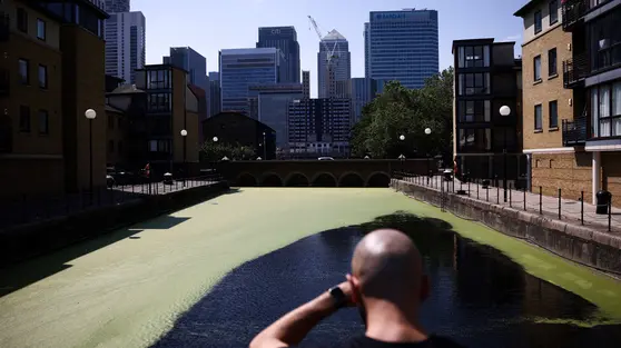 Ketika Sungai Thames Berubah Jadi Saluran Limbah Raksasa