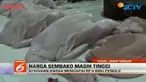 Harga 1 Kilogram ayam masih bertahan pada angka Rp 35 ribu atau naik Rp 7 ribu dibanding sebelumnya.